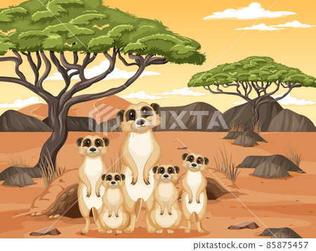 Desert background with a group of meerkats Desert background with a group of meerkats 85875457