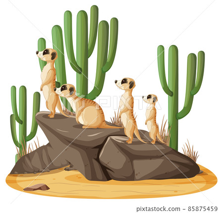 Isolated nature scene with meerkat family Isolated nature scene with meerkat family 85875459