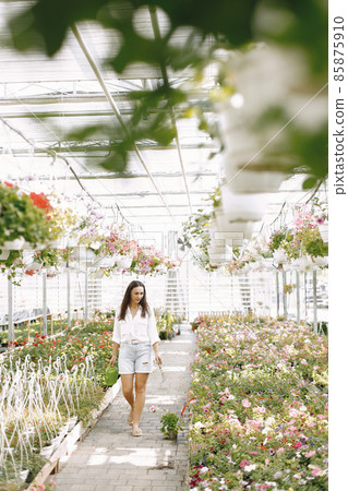 Side view of female gardener inspecting potted flowers in greenhouse 85875910