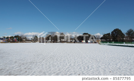 Scenery of a park with snow 85877795