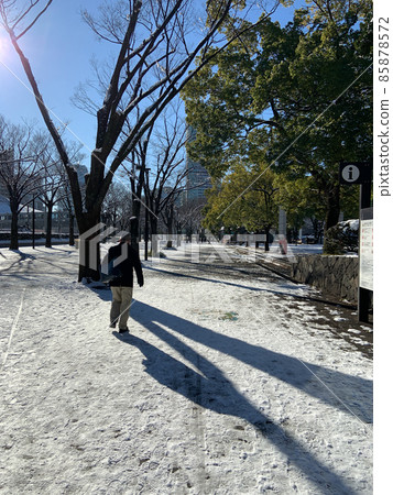 代代木公園櫸樹雪景（2022 年 1 月 7 日） 85878572