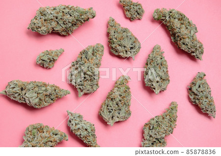 Marijuana buds closeup. Medicinal cannabis flowering on rose background, isolated. 85878836