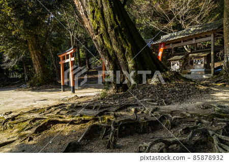 Shirahige Shrine in winter Shirahige Shrine in winter 85878932