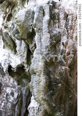 Details and forms of rocks on Railay peninsula, Thailand 85879401