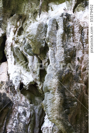 Details and forms of rocks on Railay peninsula, Thailand 85879402