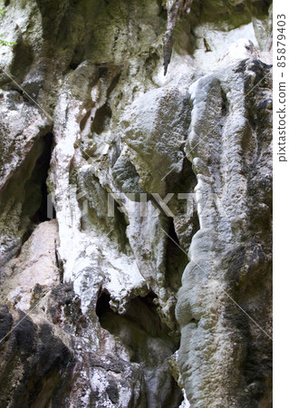 Details and forms of rocks on Railay peninsula, Thailand 85879403