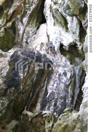 Details and forms of rocks on Railay peninsula, Thailand 85879408