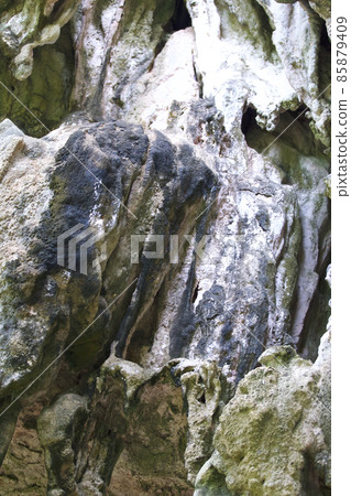 Details and forms of rocks on Railay peninsula, Thailand 85879409
