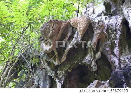 Details and forms of rocks on Railay peninsula, Thailand 85879415