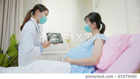 uterus utltrasonographic diagnosis 85879480