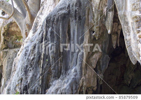 Details and forms of rocks on Railay peninsula, Thailand 85879509
