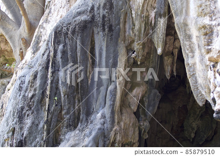 Details and forms of rocks on Railay peninsula, Thailand Details and forms of rocks on Railay peninsula, Thailand 85879510