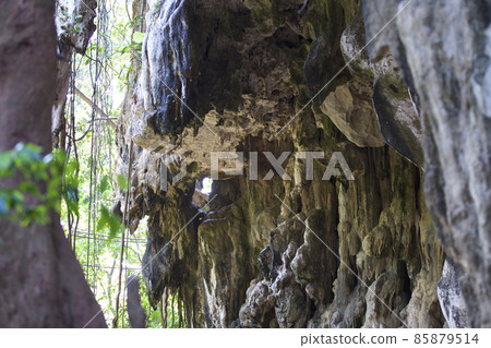 Details and forms of rocks on Railay peninsula, Thailand 85879514