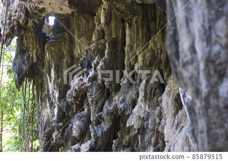 Details and forms of rocks on Railay peninsula, Thailand 85879515