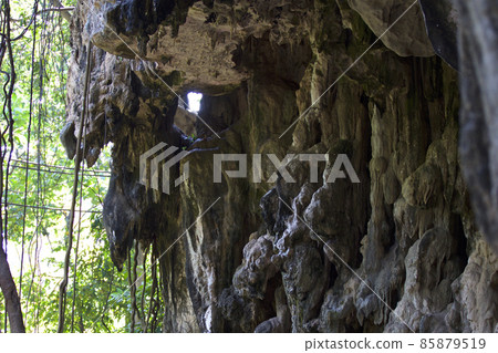 Details and forms of rocks on Railay peninsula, Thailand 85879519