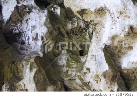Details and forms of rocks on Railay peninsula, Thailand 85879532