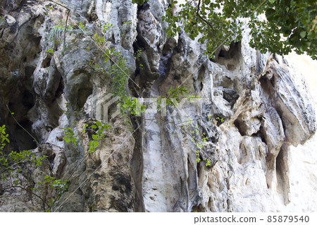 Details and forms of rocks on Railay peninsula, Thailand 85879540