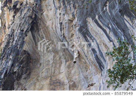 Details and forms of rocks on Railay peninsula, Thailand 85879549