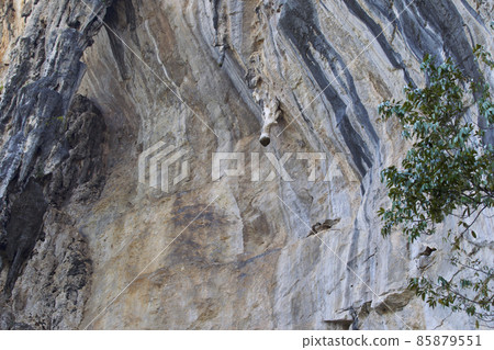 Details and forms of rocks on Railay peninsula, Thailand 85879551