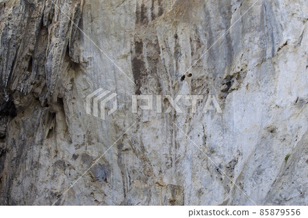 Details and forms of rocks on Railay peninsula, Thailand 85879556