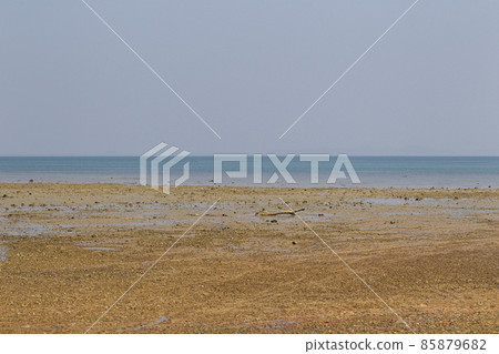 Coast after low tide, ocean and horizon, Railay Peninsula, Thailand 85879682