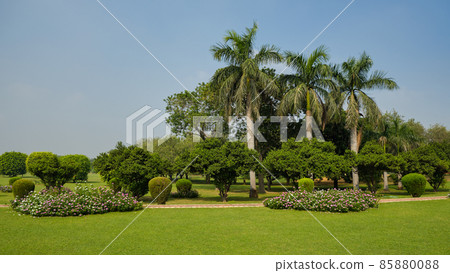 Green garden of the Lotus Temple in New Delhi, India 85880088