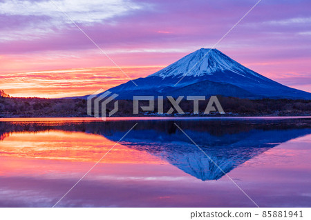 （山梨縣）美麗的日出，從精進湖看到的富士山 85881941