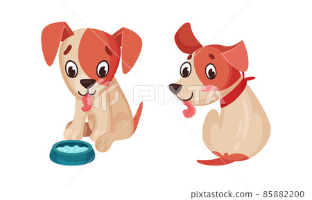 Cute puppy daily routine set. Adorable little pet animal sitting cartoon vector illustration 85882200