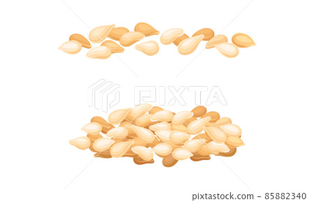 Cereal grains set. Wheat, barley or rye grains vector illustration Cereal grains set. Wheat, barley or rye grains vector illustration 85882340