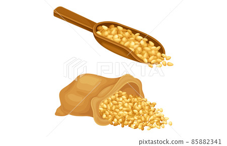 Cereal grains set. Scoop and sack of wheat, barley or rye grains vector illustration Cereal grains set. Scoop and sack of wheat, barley or rye grains vector illustration 85882341