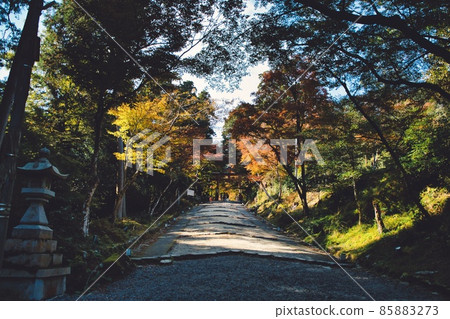 The approach photo where you can feel the great power from Hiyoshi Taisha Shrine The approach photo where you can feel the great power from Hiyoshi Taisha Shrine 85883273