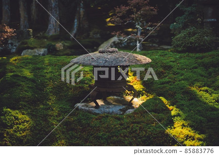 Stone figurines and light beams of shrines and temples standing in silence 85883776