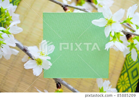 A mockup of a square green card decorated with many flower branches of Keio cherry blossoms against the background of tatami mats. 85885209