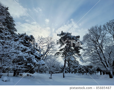 一片充滿光明的深雪森林 85885487