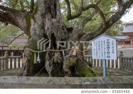 日本愛媛縣今治市大三島町總守護者大山純神社，天然紀念物，小姑洲 85885488