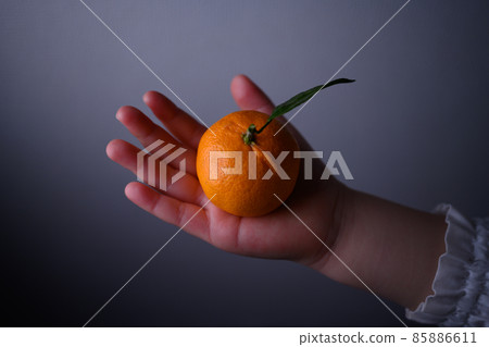 mandarin orange, hand, child 85886611