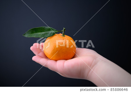 mandarin orange, hand, child 85886646