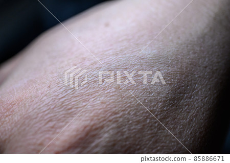 女生 女孩 女性 85886671