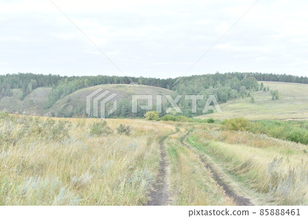 River and mountain with trees in the steppe field River and mountain with trees in the steppe field 85888461
