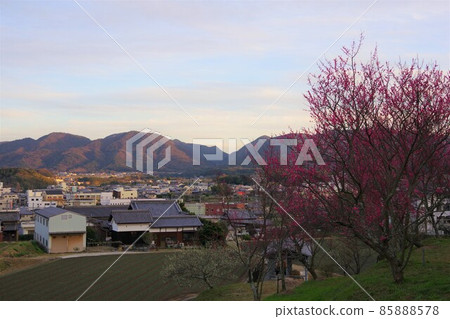 從兵庫縣淡路島廣田梅林親近公園眺望廣田地區 從兵庫縣淡路島廣田梅林親近公園眺望廣田地區 85888578