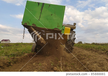 A tractor plows a row of potatoes, harvesting yellow potatoes in the village in the field. A tractor plows a row of potatoes, harvesting yellow potatoes in the village in the field. 85888881