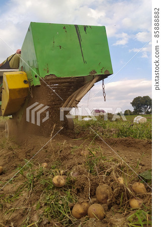 Tractor with suspended equipment for potato harvesting, organically grown potatoes without chemicals. Tractor with suspended equipment for potato harvesting, organically grown potatoes without chemicals. 85888882
