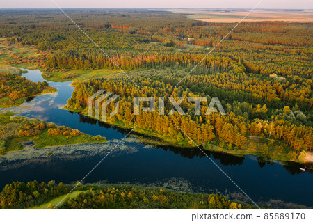 Aerial View Green Pine Forest And River Landscape In Sunny Summer Evening. Top View Of Beautiful European Nature From High Attitude In Summer Season. Drone View. Bird's Eye View 85889170