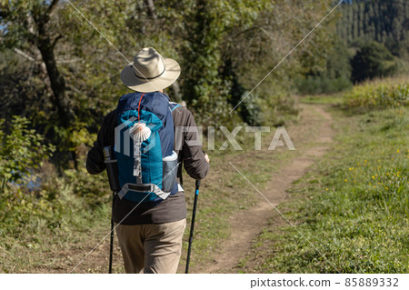 View from behind of a pilgrim walking on his way to Santiago de Compostela on a rural way. Way of saint james, Camino de Santiago View from behind of a pilgrim walking on his way to Santiago de Compostela on a rural way. Way of saint james, Camino de Santiago 85889332