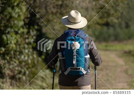 View from behind of a pilgrim walking on his way to Santiago de Compostela on a rural way. Way of saint james, Camino de Santiago 85889335