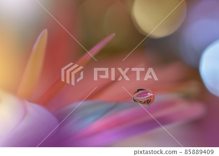 Beautiful macro shot of magic flowers.Border art design. Magic light.Extreme close up macro photography.Conceptual abstract image.Violet and Pink Background.Fantasy Art.Creative Wallpaper.Beautiful. Beautiful macro shot of magic flowers.Border art design. Magic light.Extreme close up macro photography.Conceptual abstract image.Violet and Pink Background.Fantasy Art.Creative Wallpaper.Beautiful. 85889409