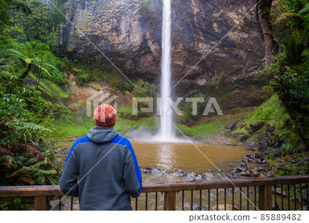 New Zealand waterfall New Zealand waterfall 85889482
