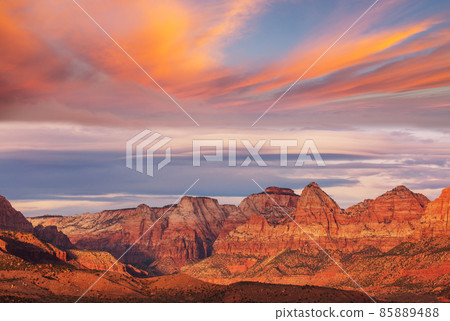 Zion 85889488