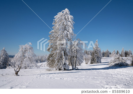 Kahler Asten, Sauerland, Germany 85889610