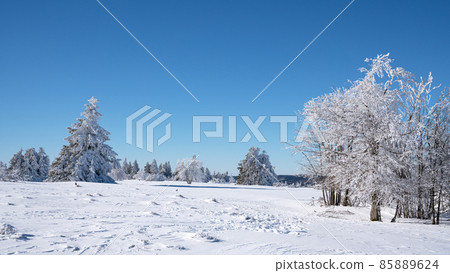 Kahler Asten, Sauerland, Germany 85889624